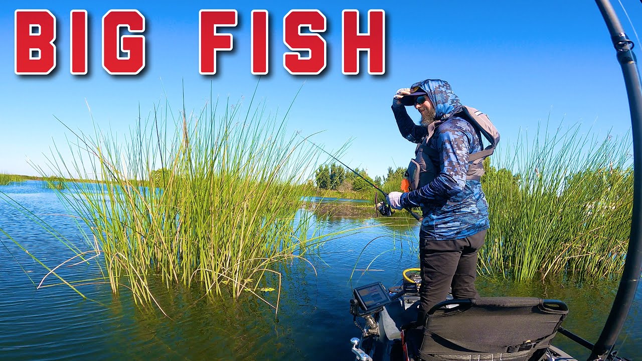 My GREATEST Day of Bass Fishing EVER! | The California Delta