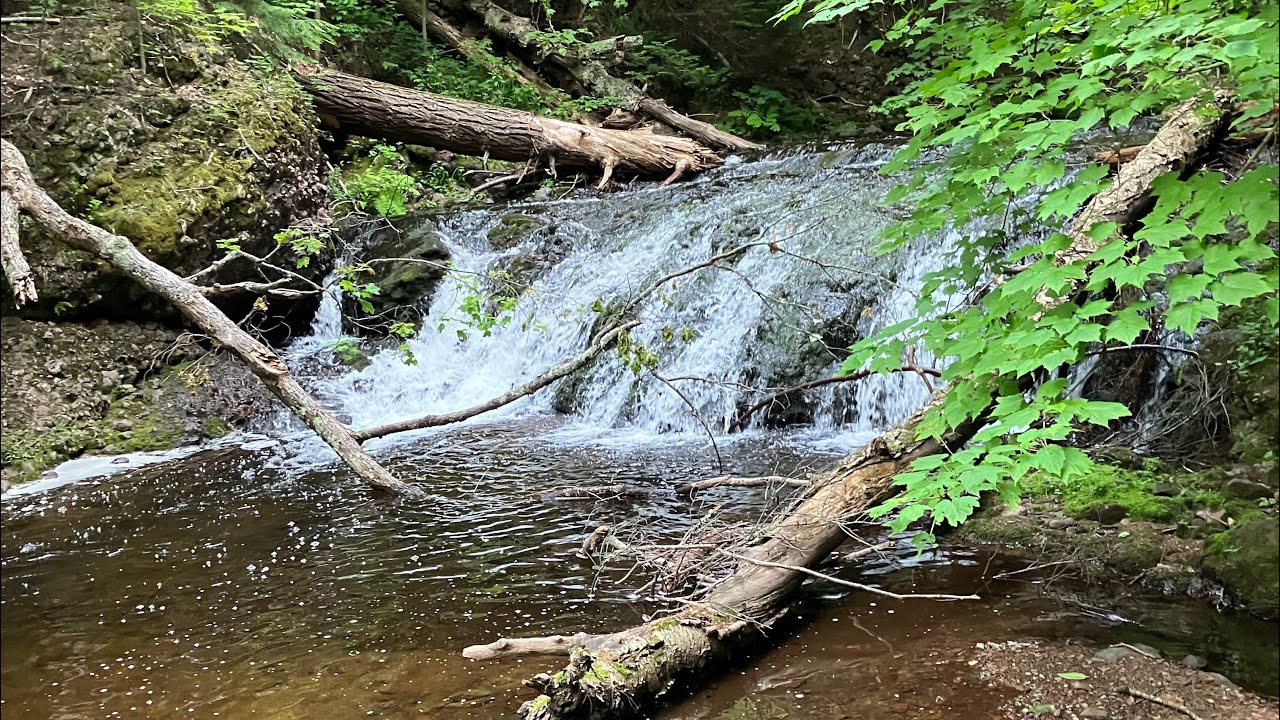 Upper Peninsula Brook Trout Fishing | Michigan Brook Trout