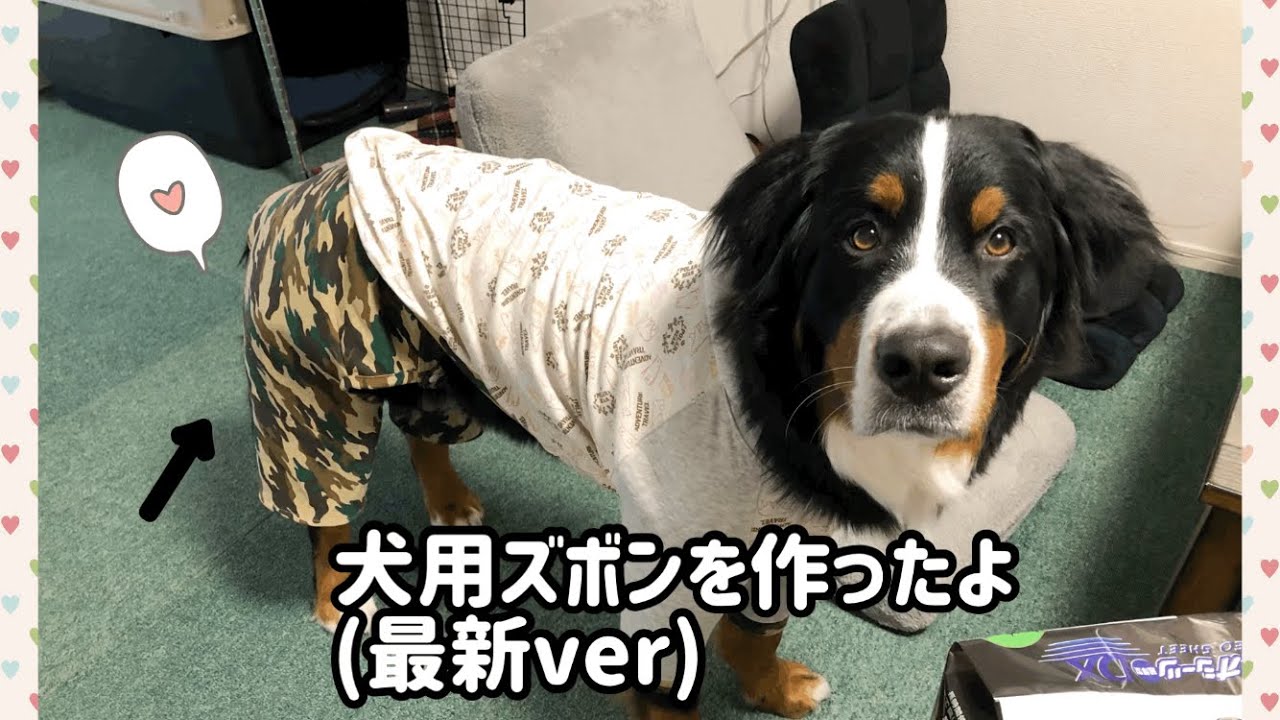 【ハンドメイド】迷彩柄のイケイケ犬用ズボンを作ったよ。【大型犬の犬服】
