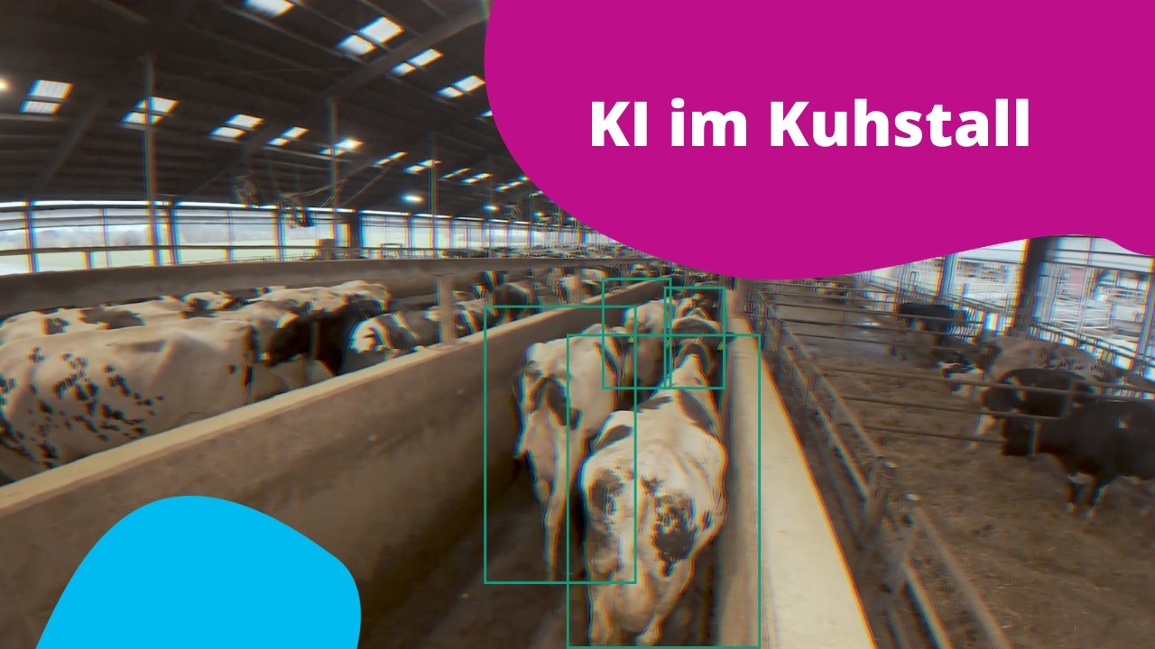 Künstliche Intelligenz im Kuhstall