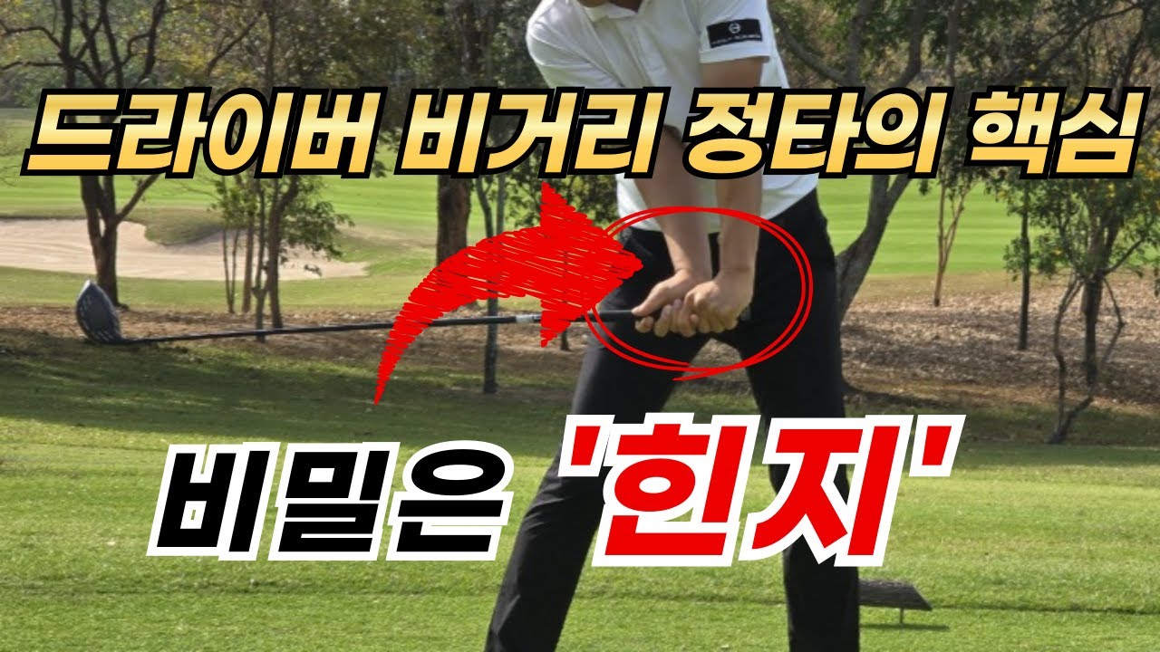 [골프레슨]🔥 비거리 정타🔥의 핵심 ✨힌지✨
