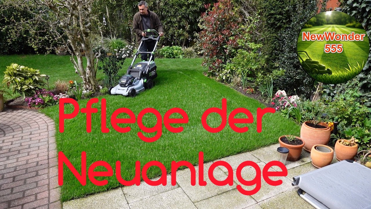 Rasen Neuanlage Pflege nach dem Keimen // Rasen Aerifizieren und Sanden – NewWonder555 🌻🌻🌻