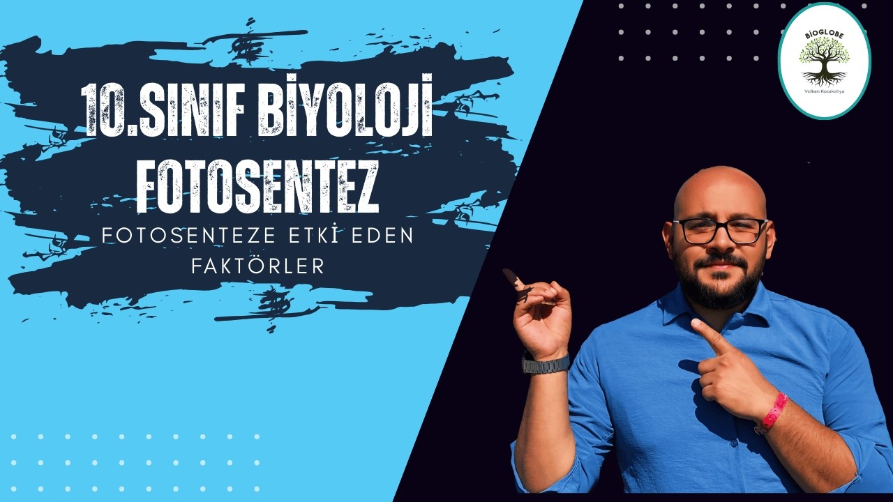 10.Sınıf Biyoloji -FOTOSENTEZ'e etki eden faktörler  (Yeni maarif modeline uygun)