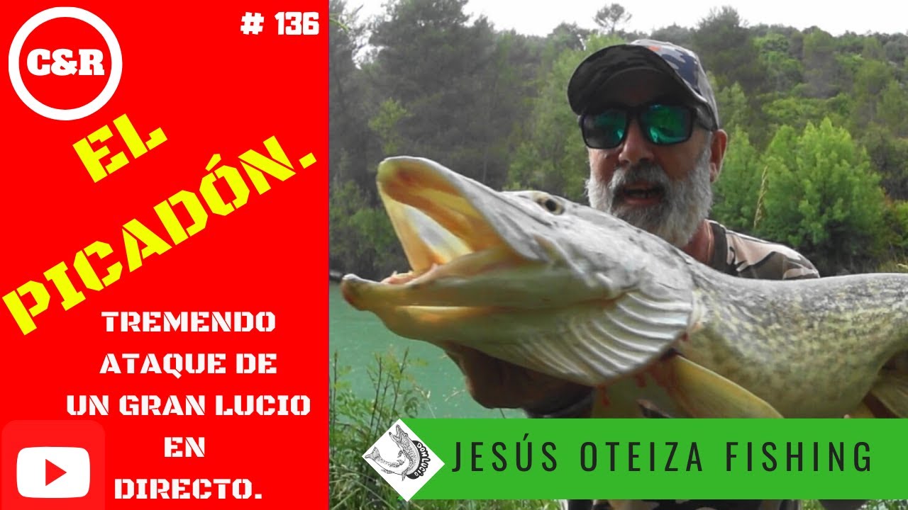 EL PICADÓN. Tremendo ATAQUE de un GRAN LUCIO al señuelo en el RÍO.