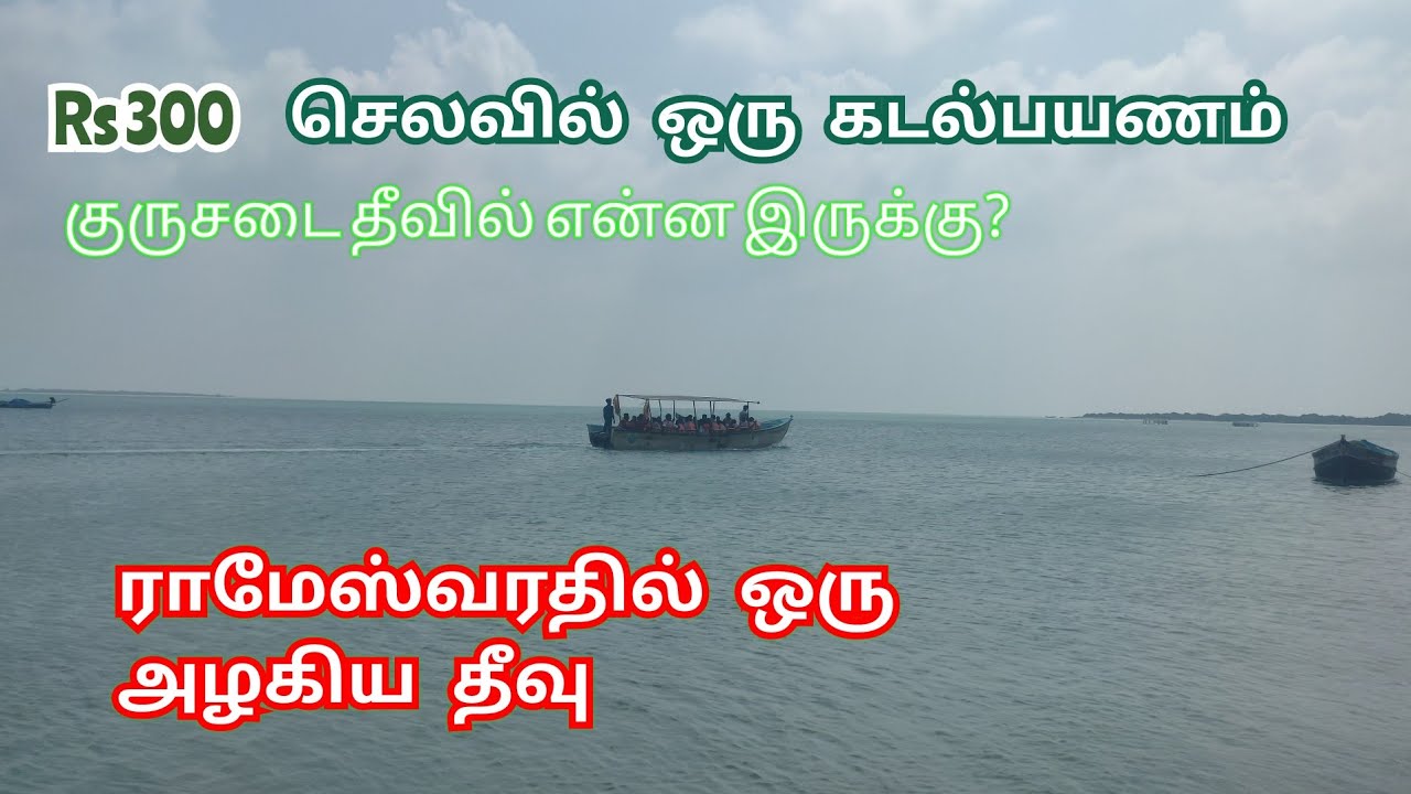 Kurusadai Island All details | குருசடை தீவு பயணம் | Rameswaram Kurusadai Island Vlogs