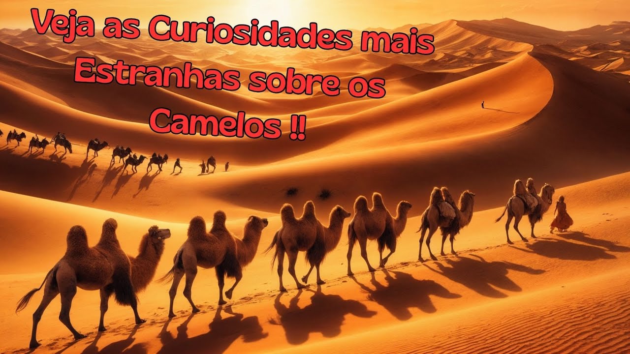As 10 Curiosidades Surpreendentes Sobre Camelos!