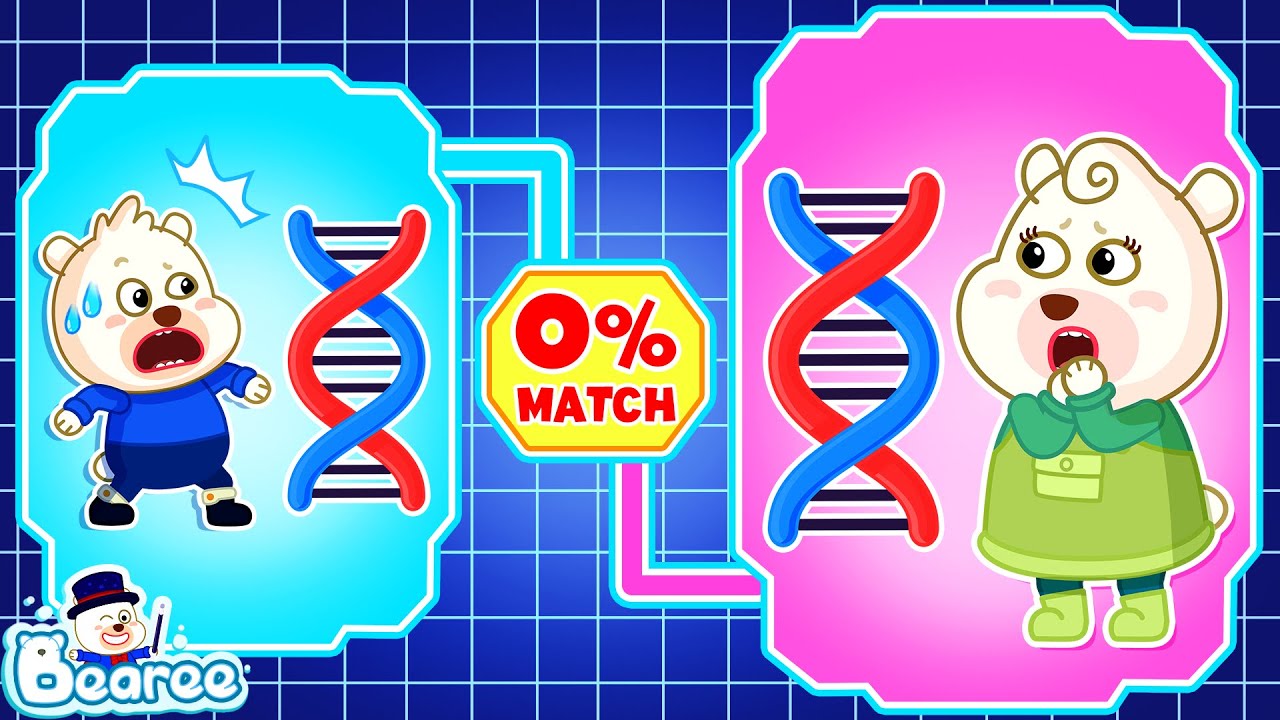 0% Genetic Match! Is Bearee Adopted? | DNA Tester Reveals Secret in Bearee Family | Bearee Kids Show