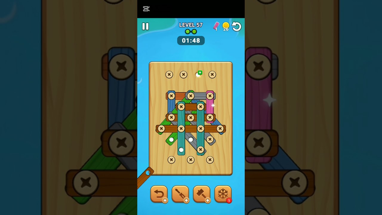 Level 57 screw Wood puzzle game