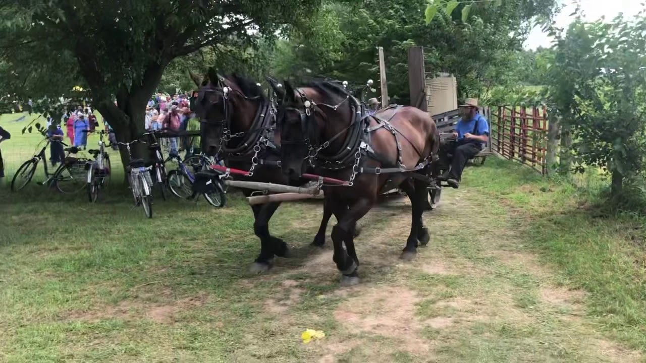 McCormick reaper from 1840 run in 2019