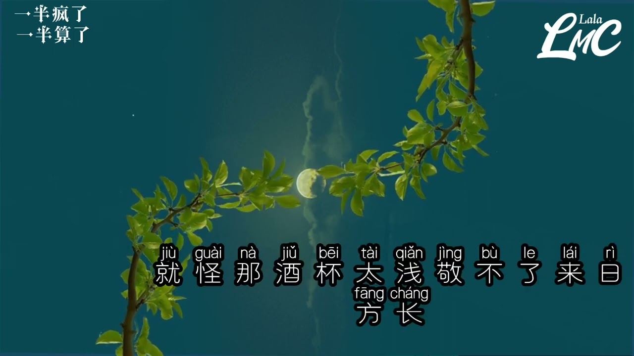一半疯了，一半算了 （苏谭谭：动感拼音歌词）