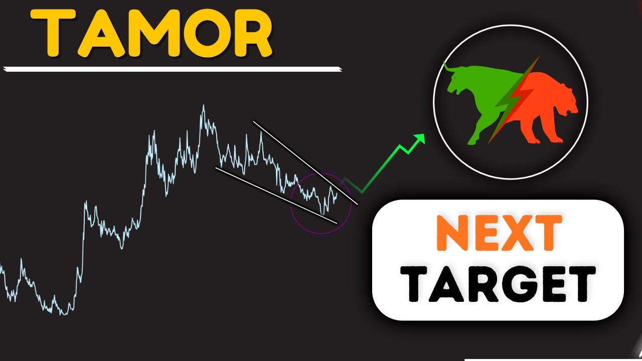 Tamor Stock Analysis | Tamor Elliott Wave Analysis | Wave Matrix |