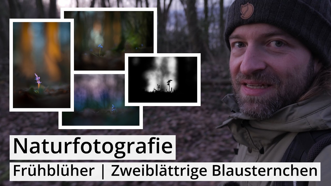 Naturfotografie: Es wird FRÜHLING | Zweiblättrige BLAUSTERNCHEN | Fotoausstellung