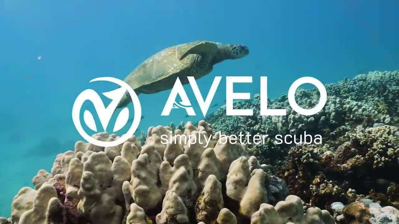 Dive into the Future: The Avelo Dive System Explained
