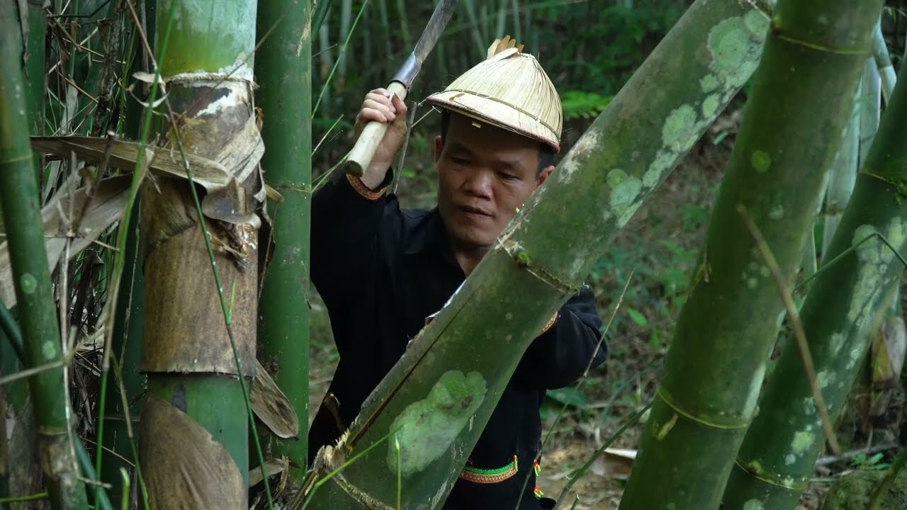 Dwarf Family vs Aggressive Crocodile | Bamboo Harvesting & Garden Renovation.