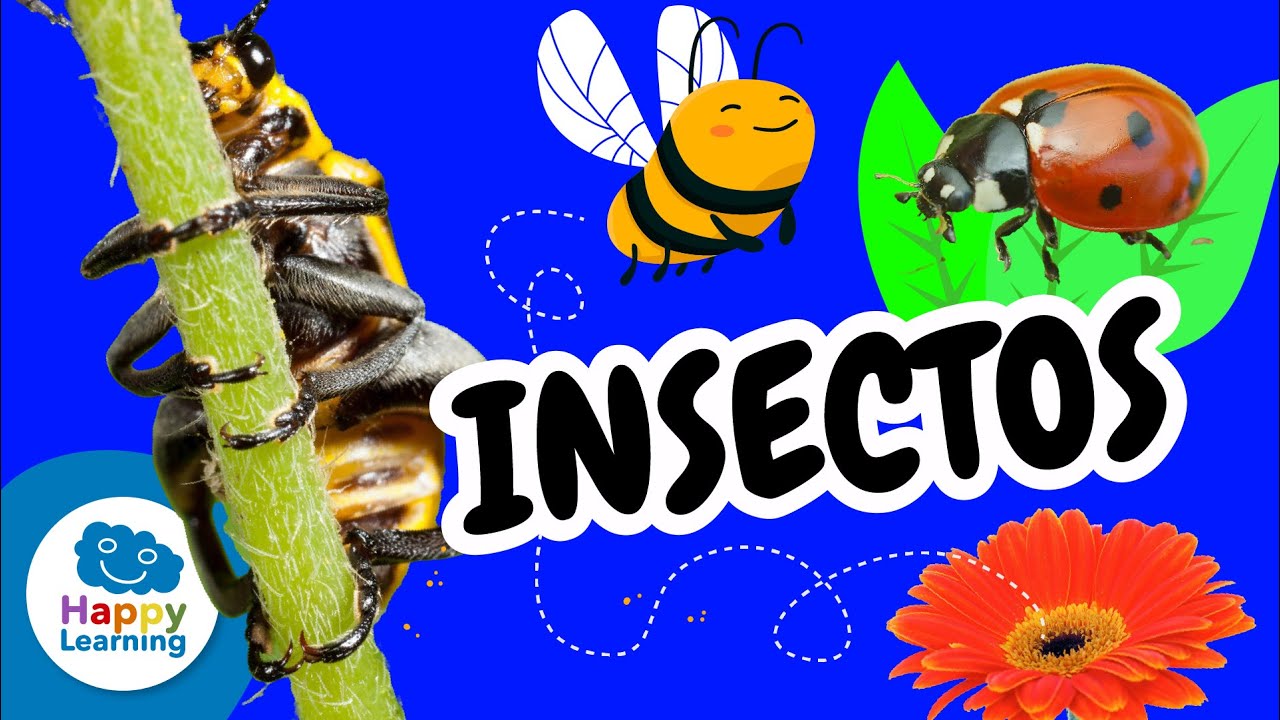 Curiosidades de los INSECTOS y su Papel en la Naturaleza 🌍 | @HappyLearningES