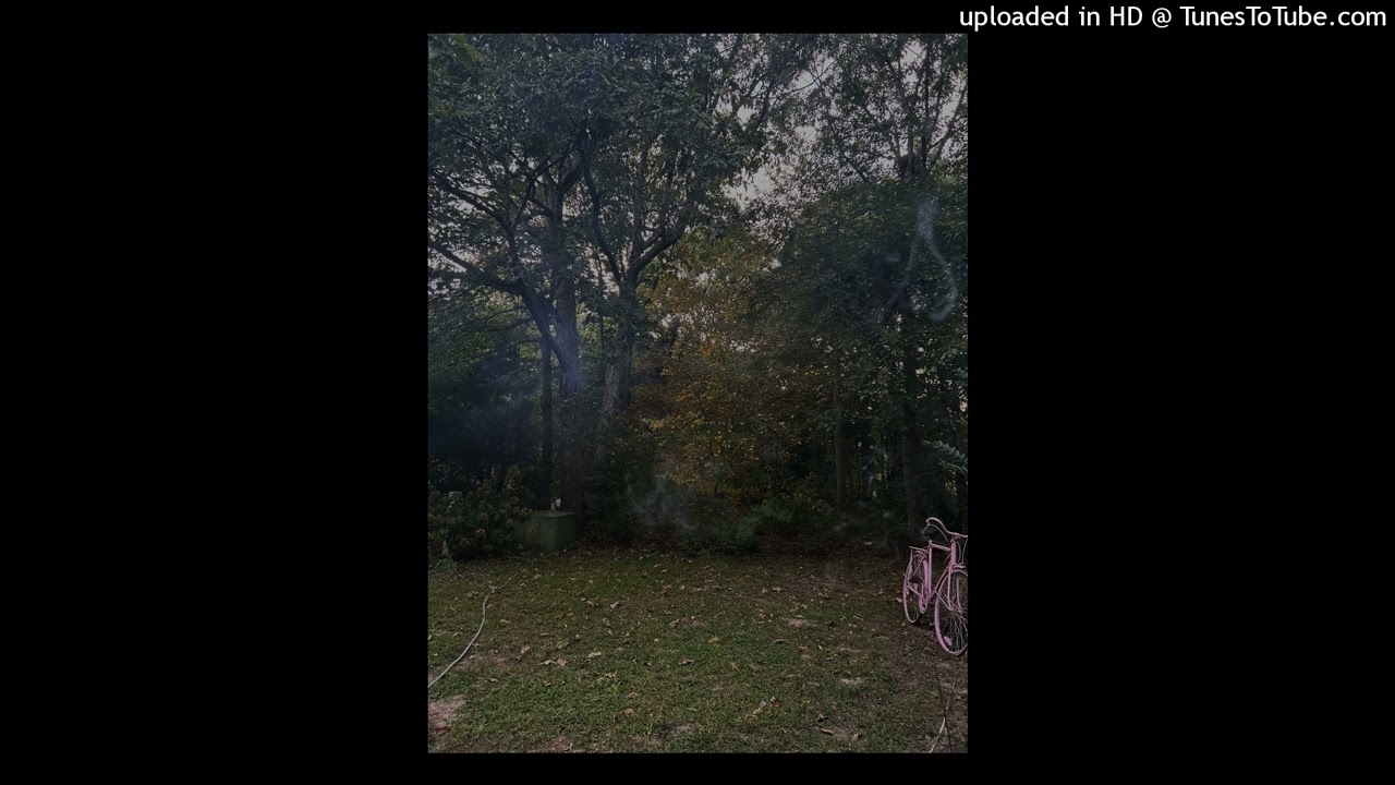 the crying nudes - blood meadow (slowed + reverb) (codeinemix)