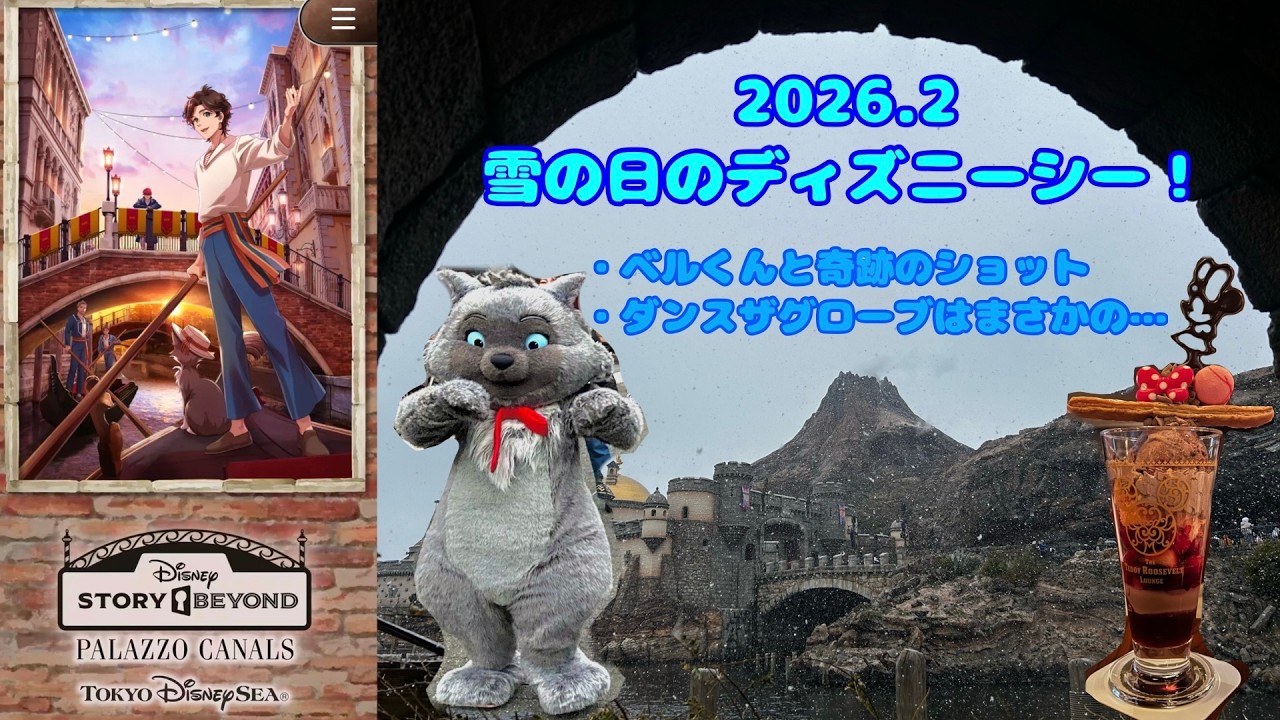 雪の日ディズニー❄️寒さ対策しながら楽しんできた！