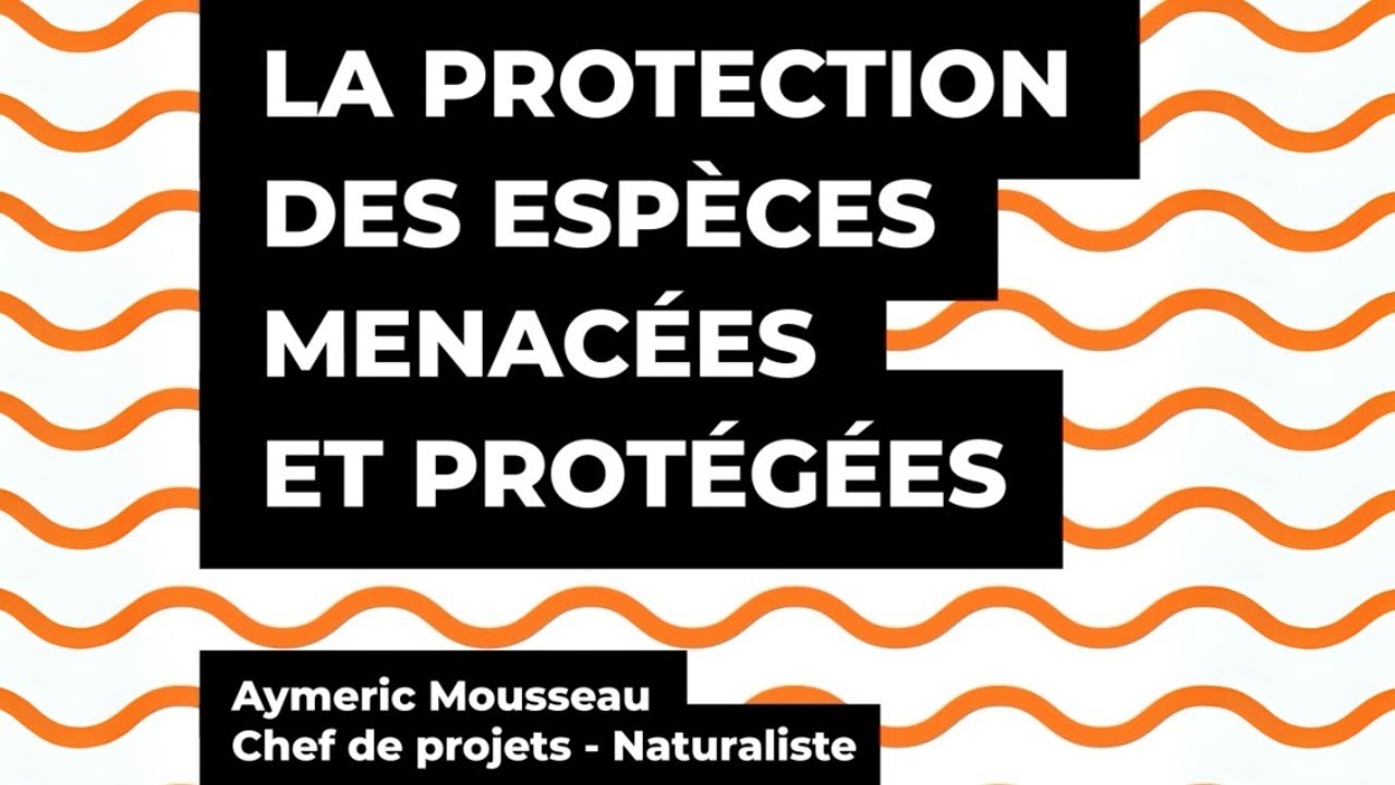 La protection des espaces menacées et protégées chez Sce par Aymeric Mousseau