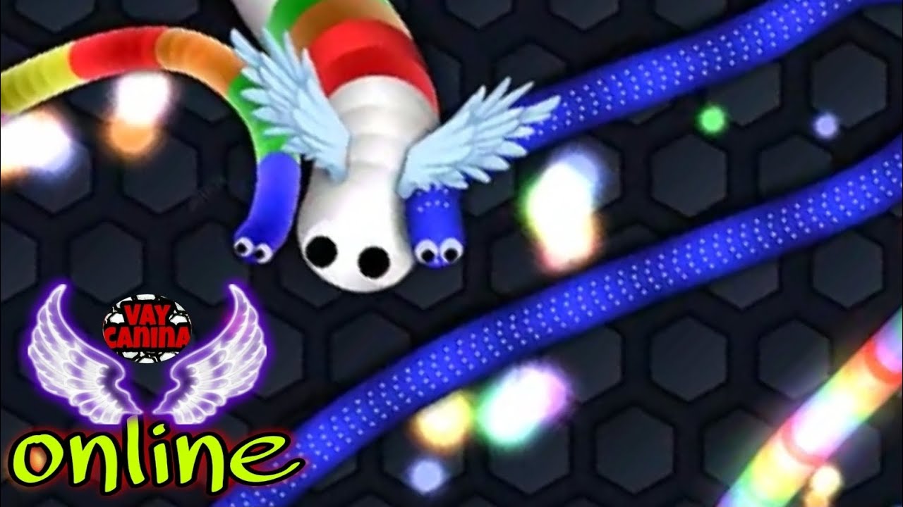 16,431 Slither.io Pro Player Gameplay VAYCANINA