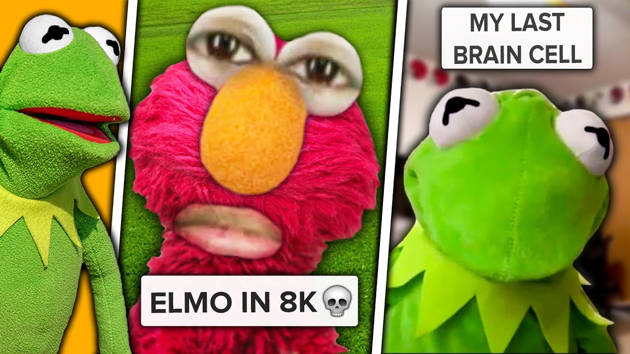 Tik Tok Memes Kermit The Frog Showed Me
