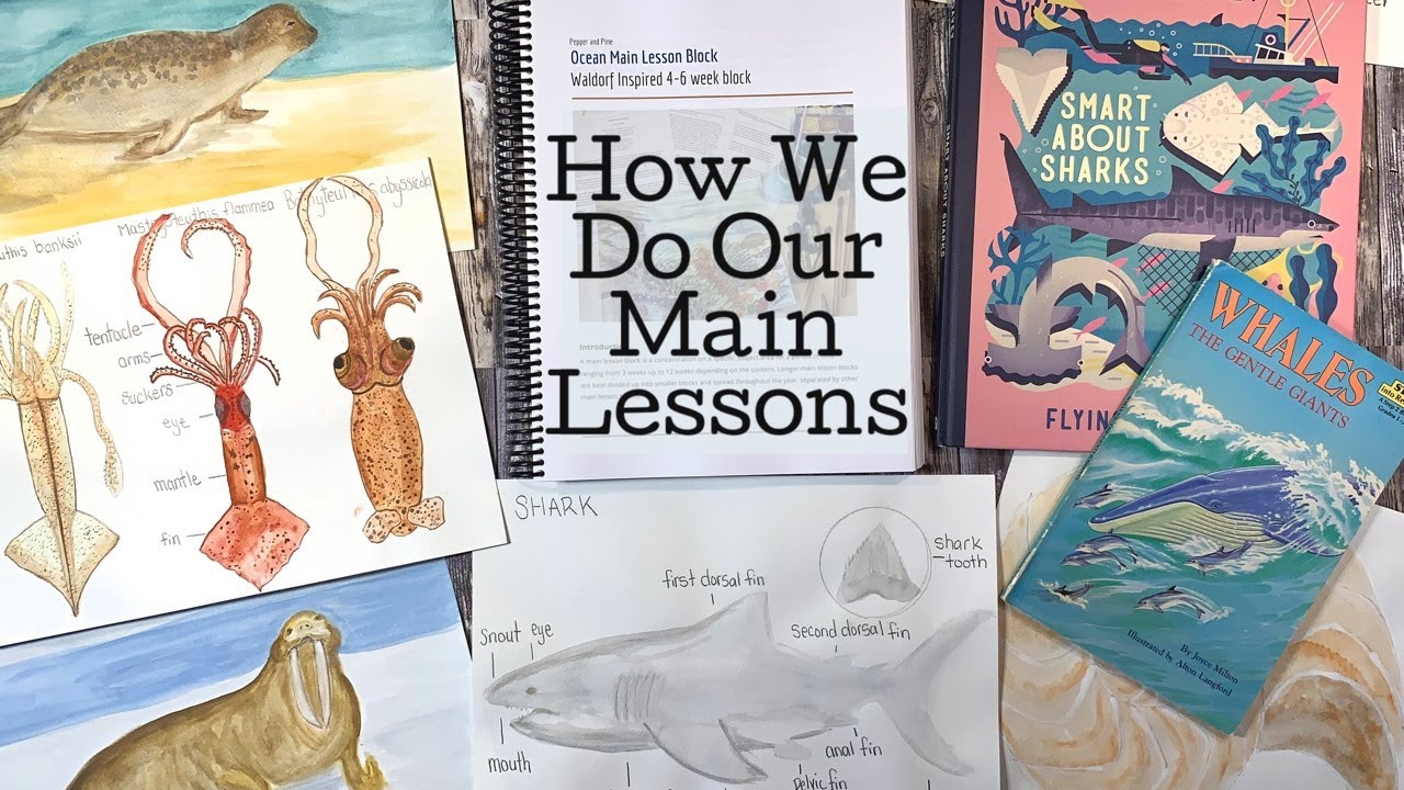Ocean Main Lesson Block Curriculum