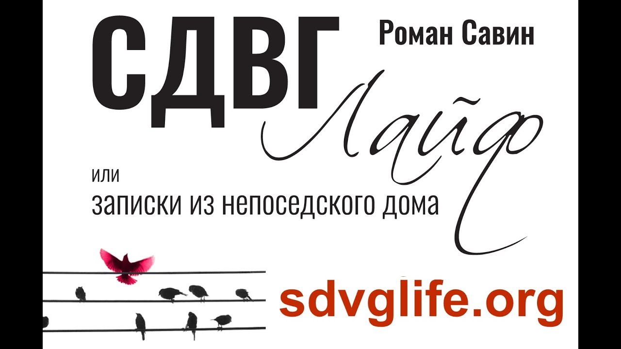 28/29. Слушать бестселлер Романа Савина о Синдроме Дефицита Внимания и Гиперактивности 