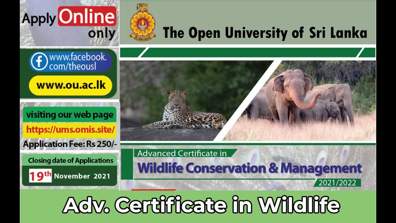 Advanced Certificate in Wildlife Conservation and Management OUSL | Tech House SL
