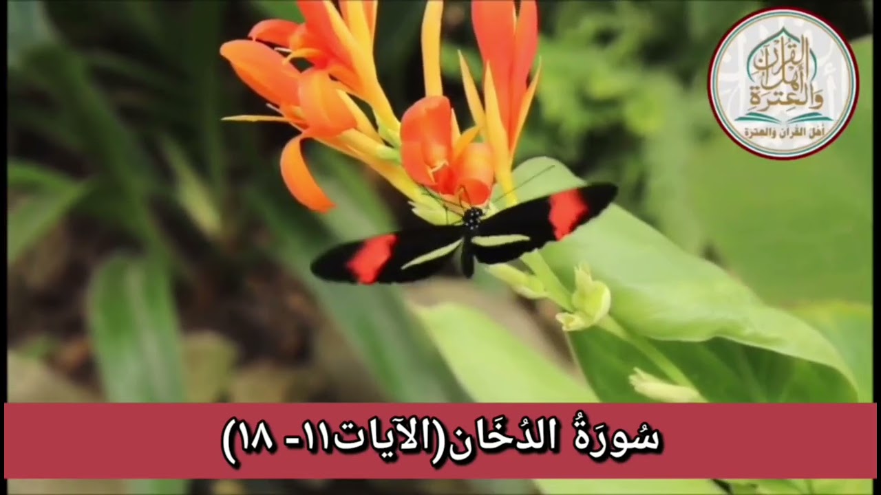 سُورَةُ الدُخَان(الآيات١١- ١٨)#اهل_القران_والعتره