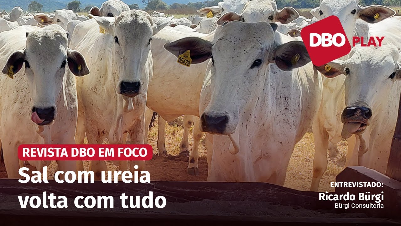 O bom e velho sal com ureia está de volta