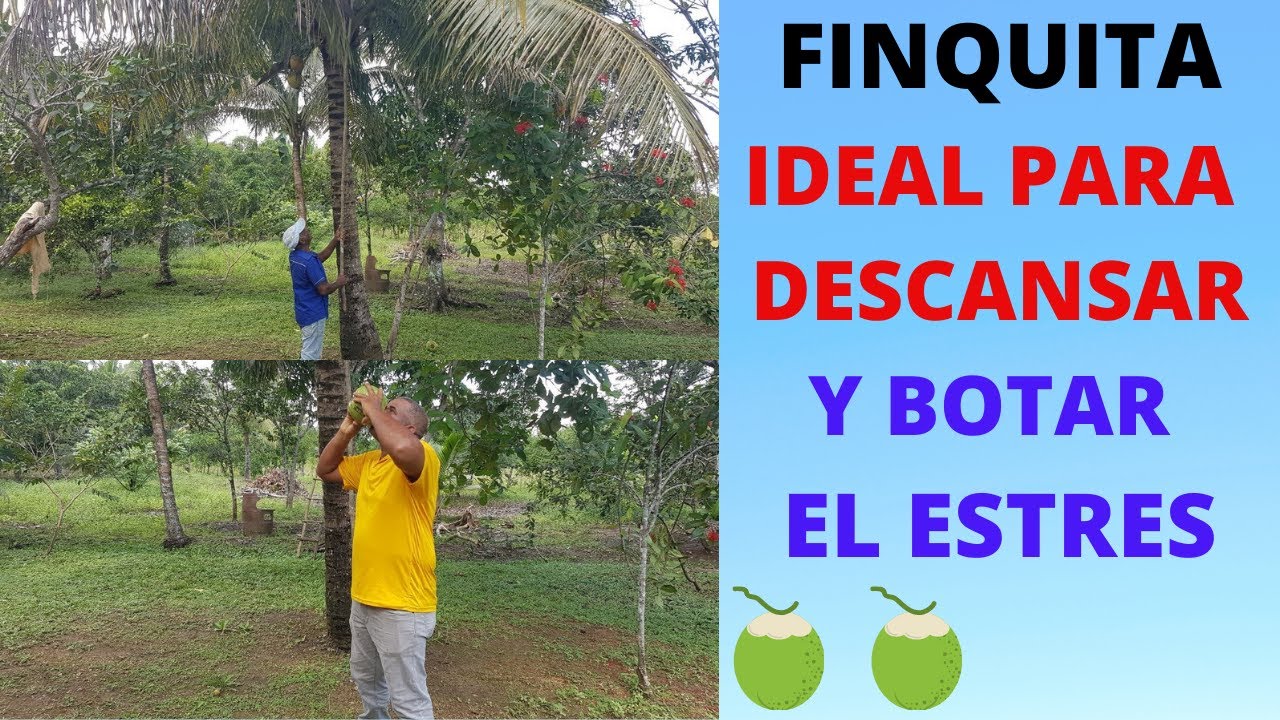 Finca de 17 Tareas con Título y Deslindada cerca de la Capital en Chirino de Monte Plata en Rep Dom