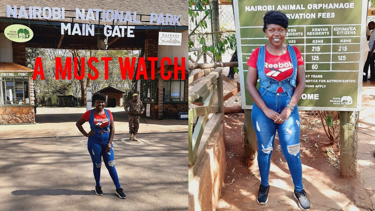 DON'T GO TO NAIROBI ANIMAL ORPHANAGE WITHOUT WATCHING THIS VIDEO(ON A BUDGET