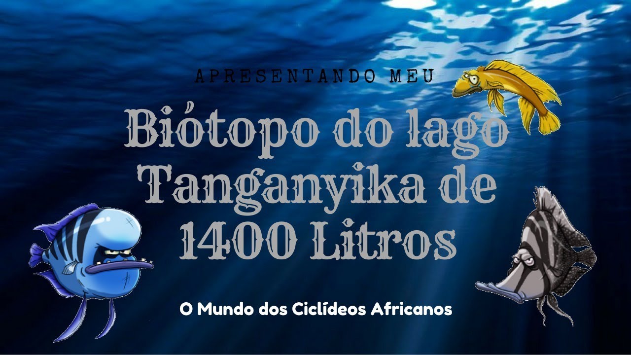 Biótopo do Lago Tanganyika de 1400 litros