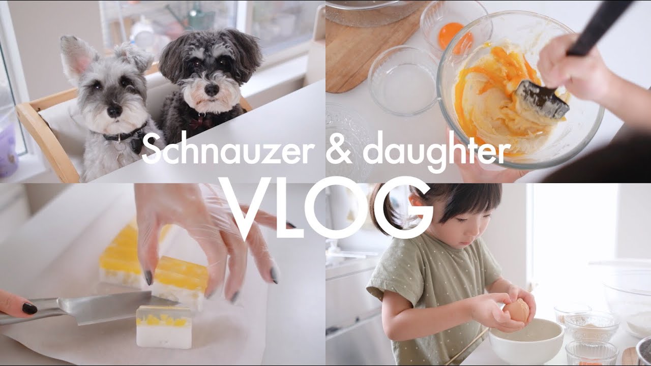 犬と子ども暮らし｜お菓子を作って食べて遊んで怒られて泣いてしまったりする休日Vlog【シュナウザージジトト】