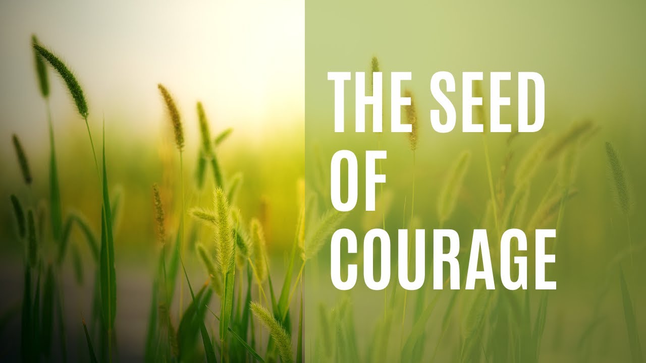 The Seed of Courage