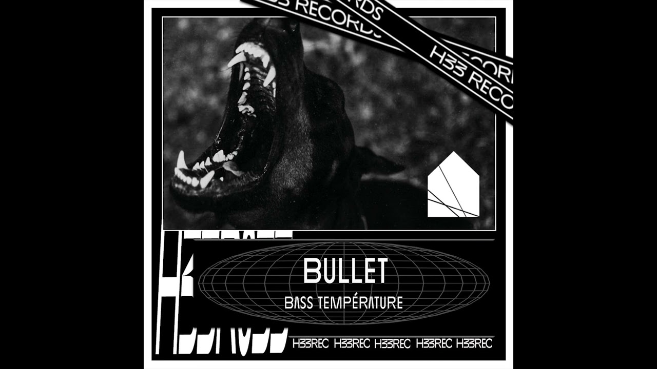 Bass Temp - I Buried You [H33 Records]