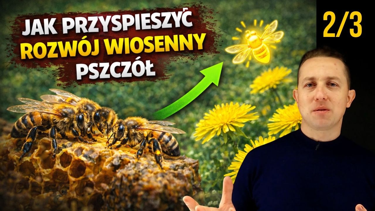 Jak przyspieszyć rozwój wiosenny - cz 2/3