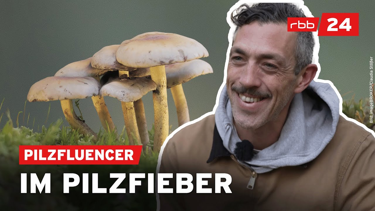 Vom Werbefotografen zum Pilzprofi