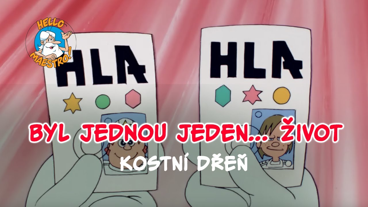Byl jednou jeden... život 🌱 Kostní dřeň 🍖