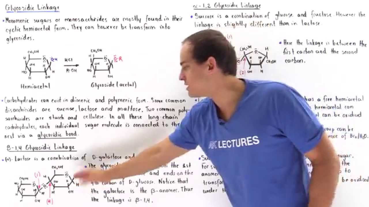 Glycosidic Bonds and Nonreducing Sugars