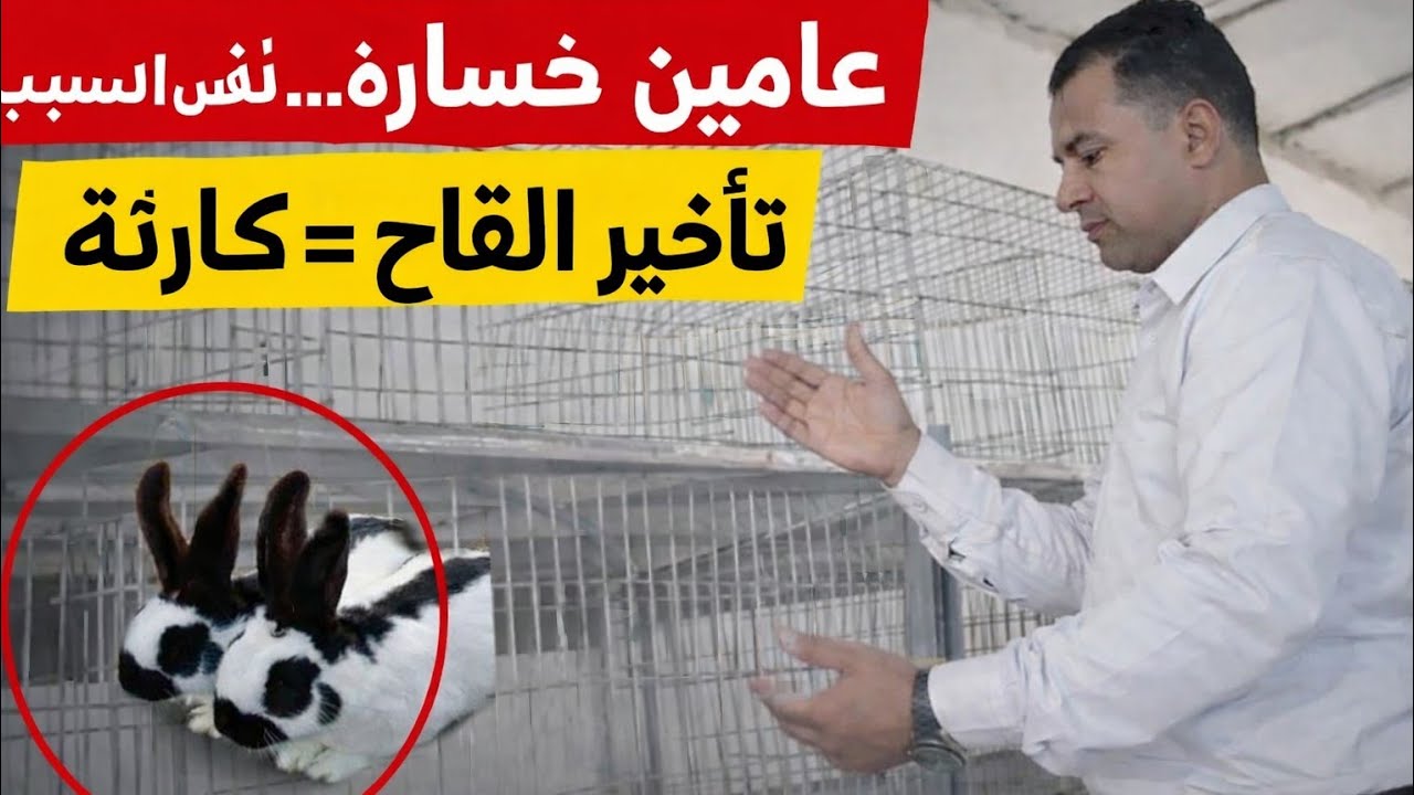  برنامج  : فضل البادية 