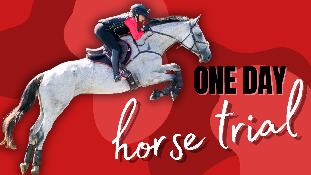 1 DAY HORSE TRIAL VLOG (novice)