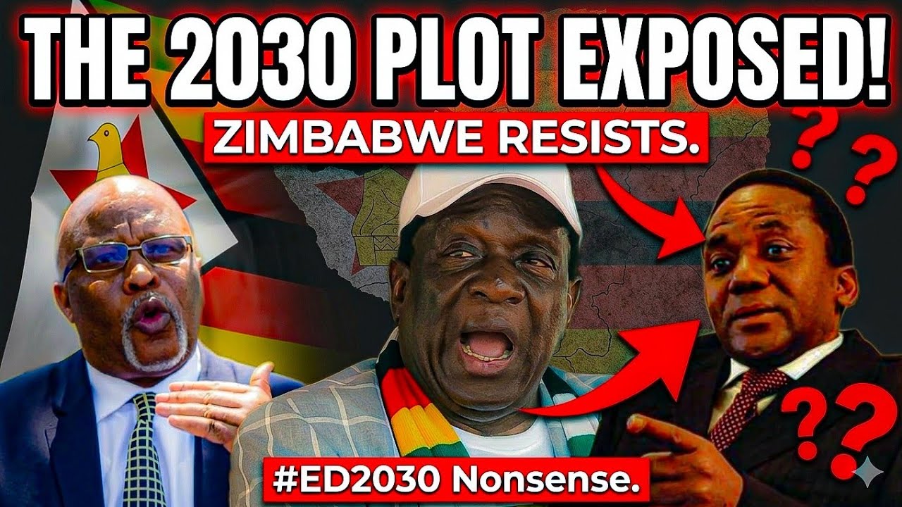 Zimbabwe’s 2030 Chaos: Why Organizations are Turning Against Mnangagwa 
