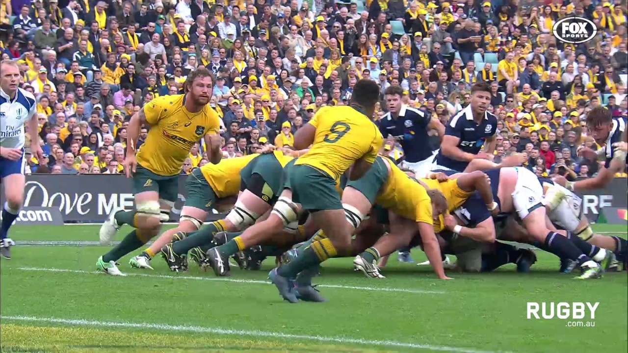 Scotland celebrate in Sydney