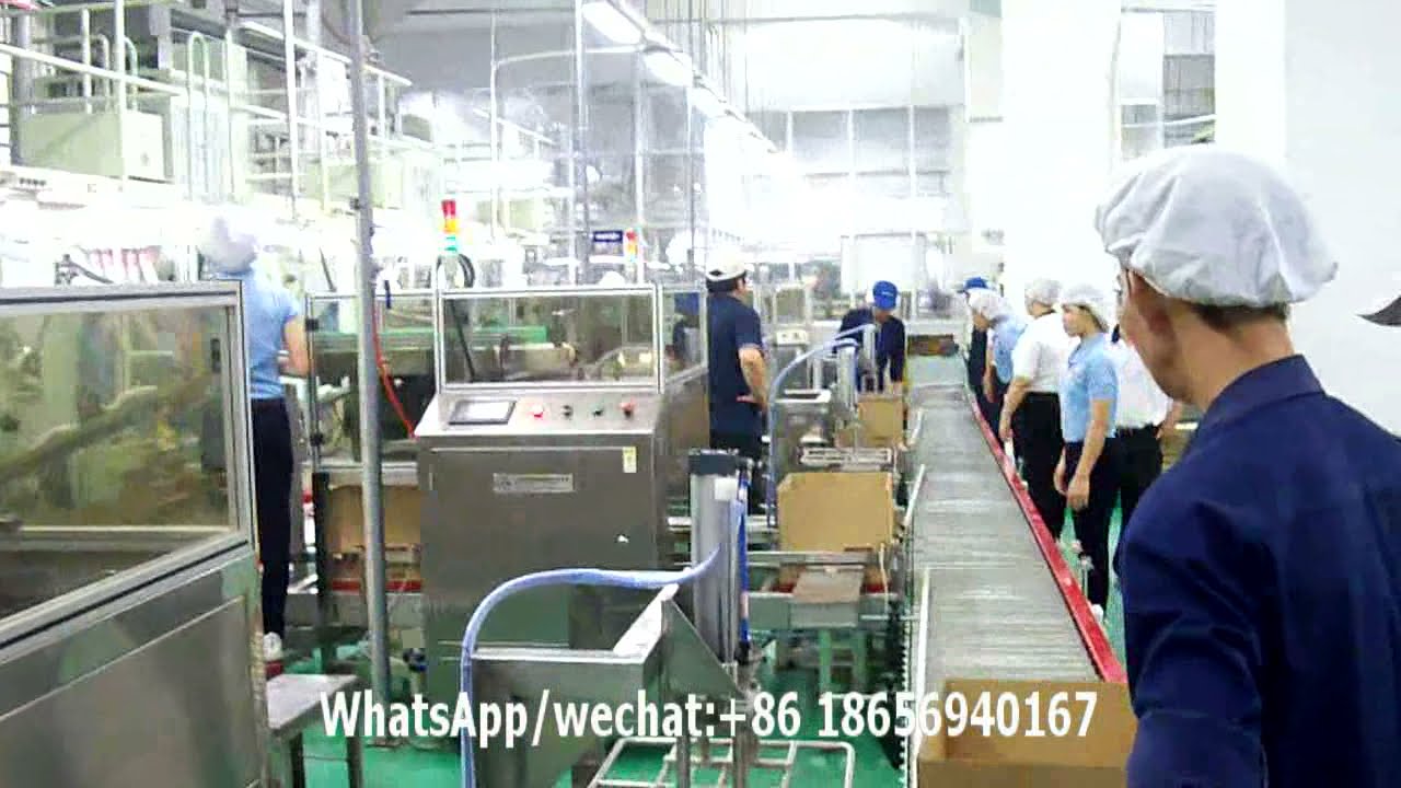 Rotary monosodium glutamate aginomoto premade pouch bag packing machine+top load gravity case packer