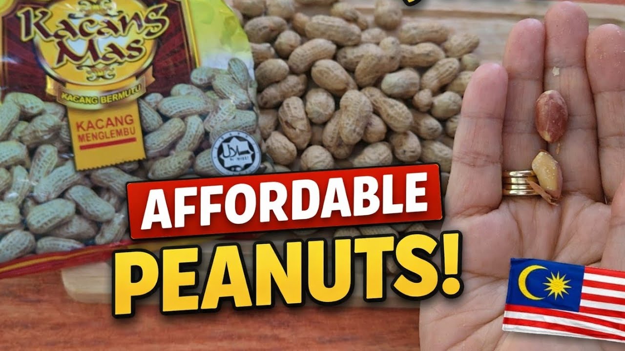 Malaysia's Affordable peanuts from Menglembu 🇲🇾 RM-friendly peanuts with premium taste 🥜 