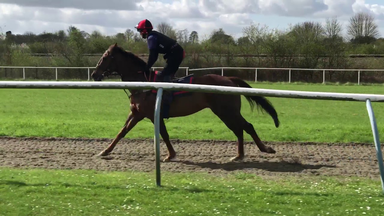 Graduation Ride | The British Racing School