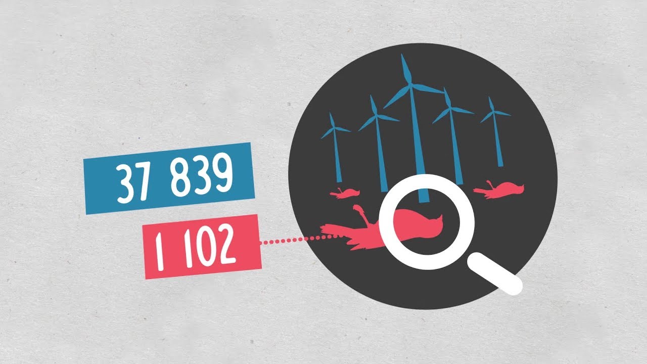 Data science vs Fake - Les éoliennes sont responsables de la surmortalité des oiseaux