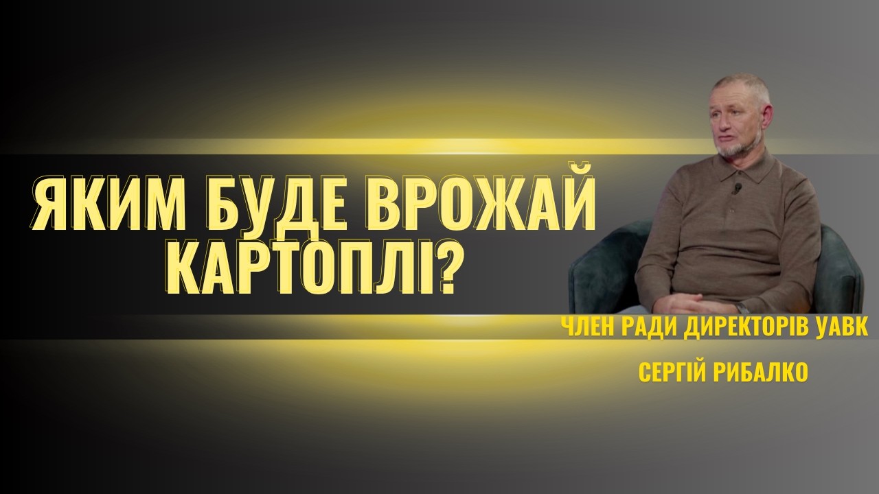 Чому Україна їсть ПОЛЬСЬКУ картоплю, маючи свою? Правда від фермера