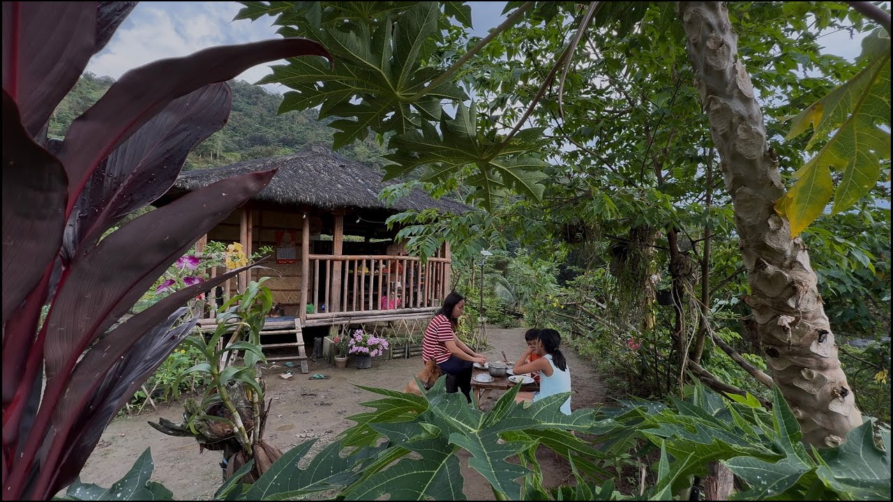 A simple mountain life, feed chickens, planting cassava , cook simple meal for my niece and nephew 