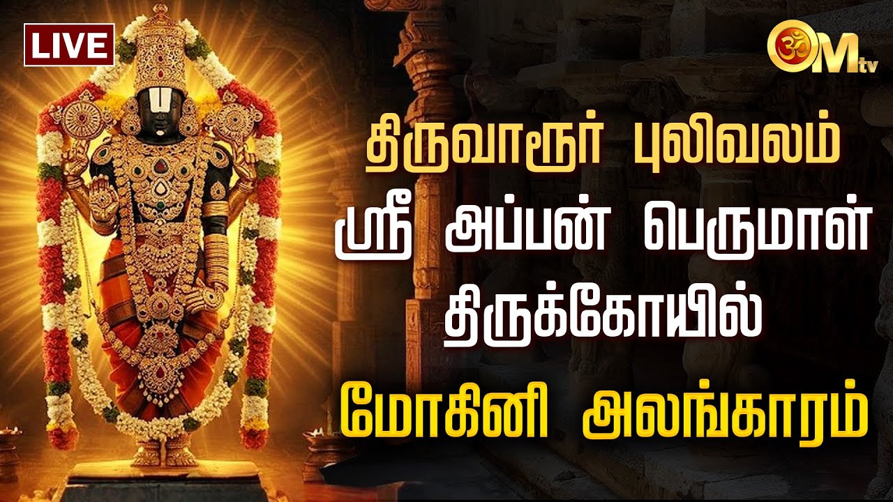 🔴LIVE: திருவாரூர் புலிவலம் ஸ்ரீ அப்பன் பெருமாள் திருக்கோயில் மோகினி அலங்காரம் | Pulivalam | OM TV